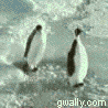 pinguin.gif