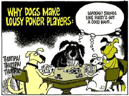 Dogs2.jpg
