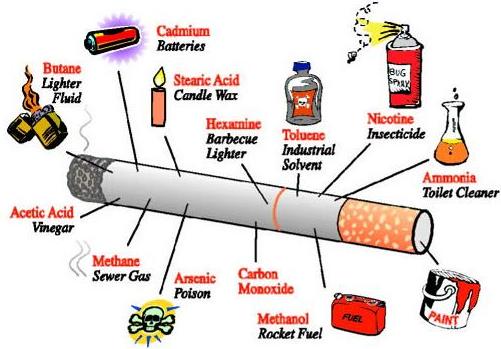 parts-of-a-ciggerate1.jpg