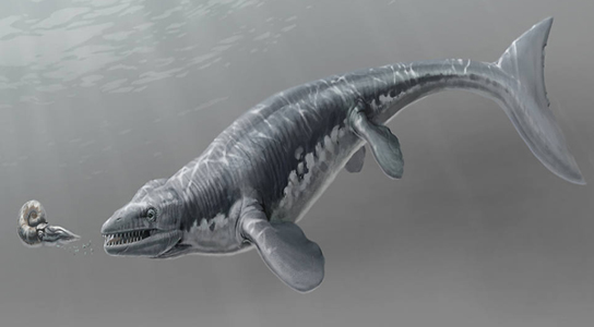 pannoniasaurus-inexpectatus-mosasaur.jpg